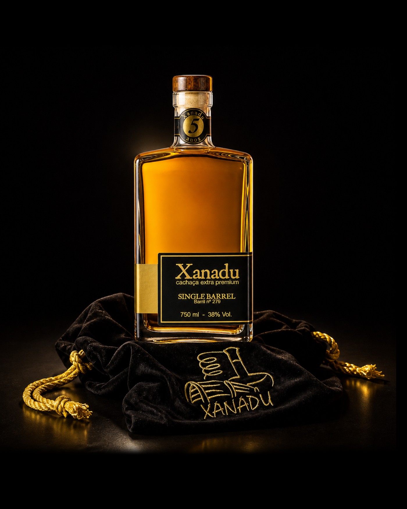 Xanadu 5 Anos