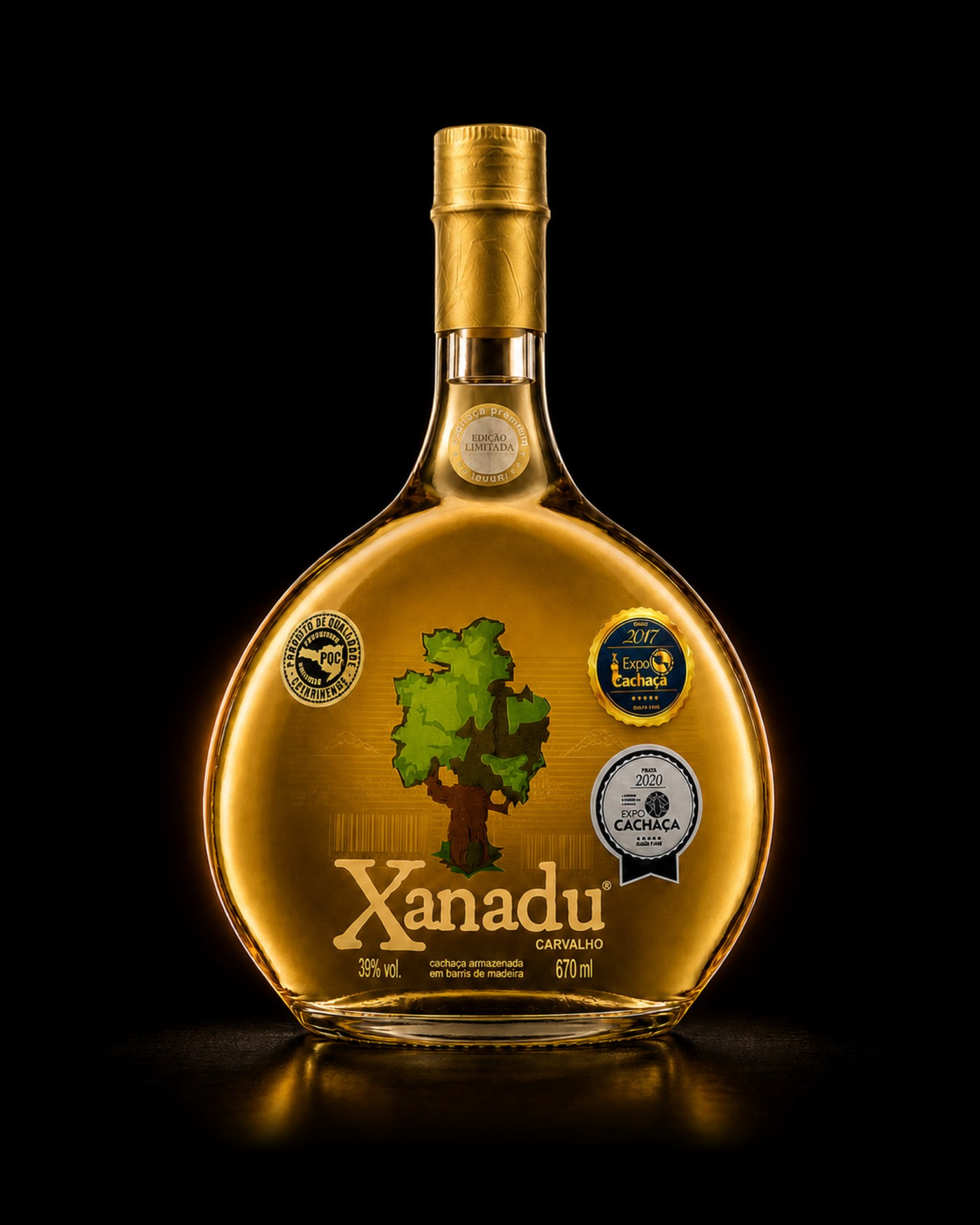 Xanadu Carvalho