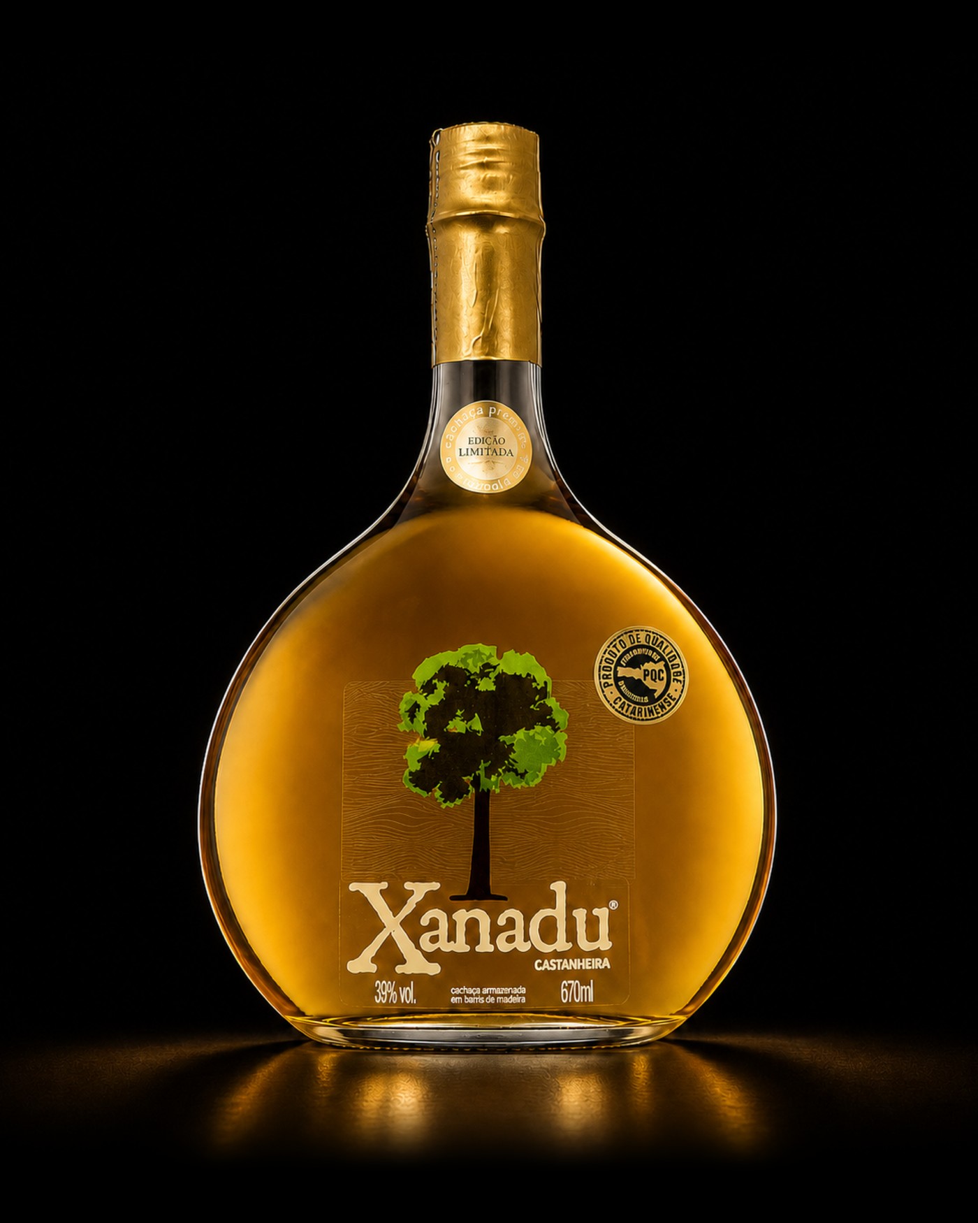 Xanadu Castanheira
